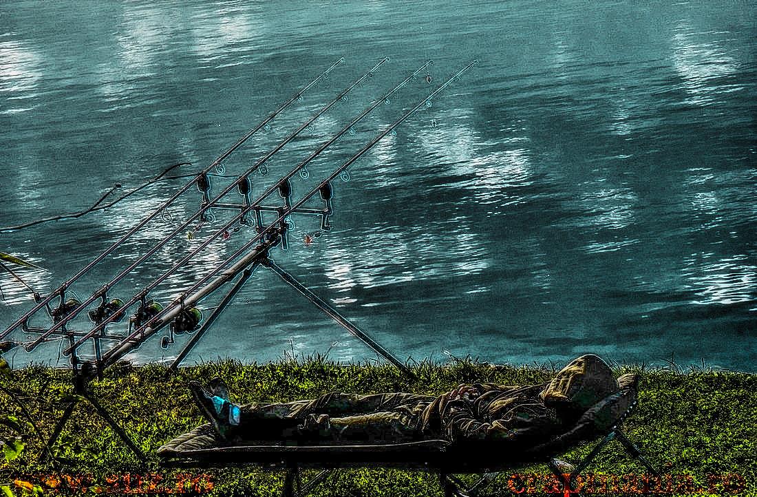 Debutmania - 2013 (3)